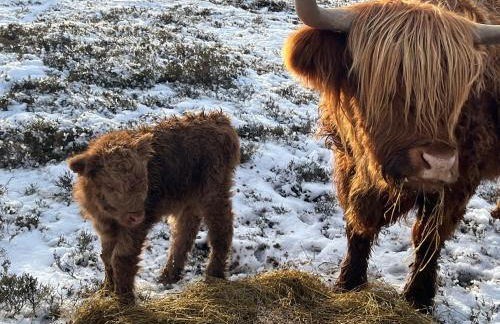 Pentland view croft with a sea view - Foto 26