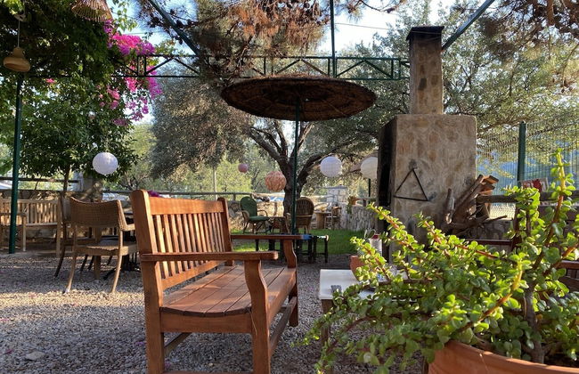 Belfin Apart - Photo 17