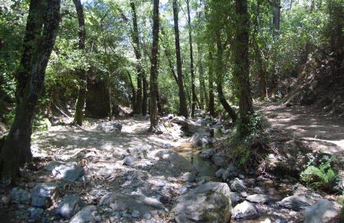 El rincón de Alájar - Foto 20