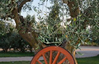 La Piana Dell'erika - Foto 16