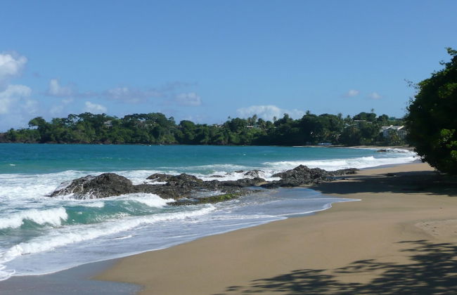 Croton Studio at Sungold House Barbados - Foto 10