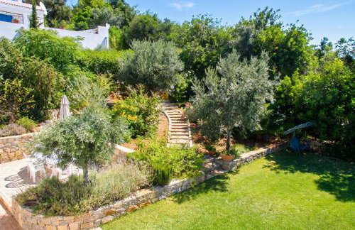 Charming House with Pool in Faro - Foto 18