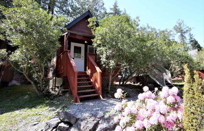 West Coast Cabin - Photo 10