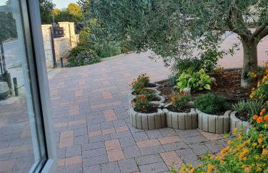 Grande Rosa - Foto 12