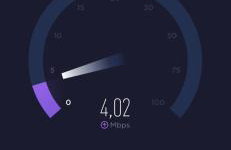 BIO Garden Stonehouse - Foto 57