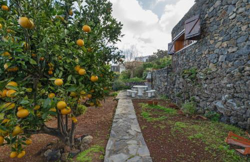 El Ciruelo - Foto 31