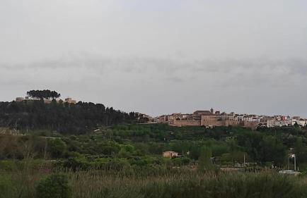 La Media Luna - Foto 25