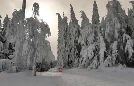 Apartmán Almberg - Mitterdorf - Mitterfirmiansrout - Foto 18