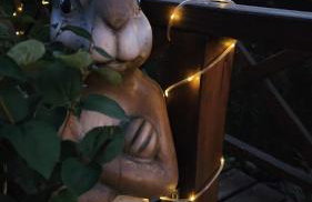 Królikowe Chaty - Foto 58