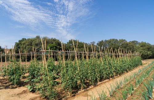 Masía Rural Can Poch - Foto 38