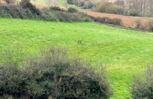 La Vallée des Biches G1 - Foto 23