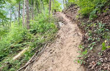 Country Comfort Cabin Delaware River Islands - Foto 11