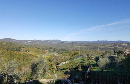 Babbo Rino - Foto 36