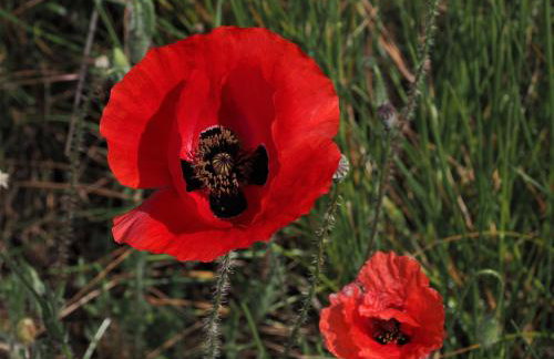 Une Heure Bleue - Foto 29