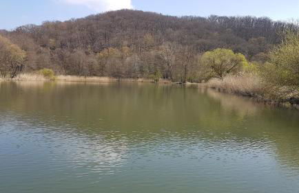 Ferienwohnung 'Frühauf' im Südharz OT Uftrungen - Foto 68