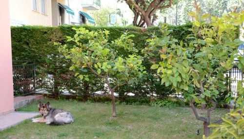 Appartamenti La Residenza - Photo 5