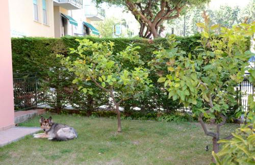 Appartamenti La Residenza - Photo 5