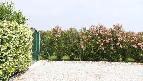 CA ADELAIDE APPARTAMENTO IN RANCH CON GIARDINO - Foto 2