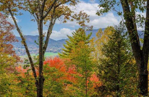 Retro Metro Deck House MCM Gem with Hot Tub & Spectacular Views! - Foto 6