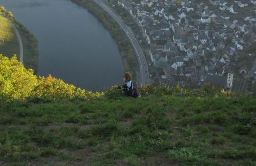 Moselschön Das Ferienhaus - Foto 36