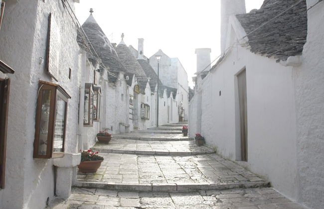 Masseria Murgia Albanese - Photo 34