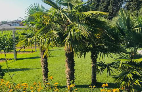 Residenza Eden - Foto 18