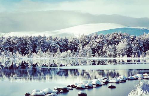 The Byre - by Where Stags Roar - Foto 23