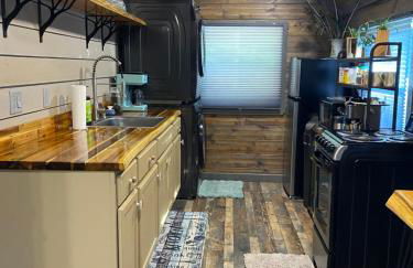 Carlton Cabin at Lake of Egypt 500 Sq Ft - Photo 70