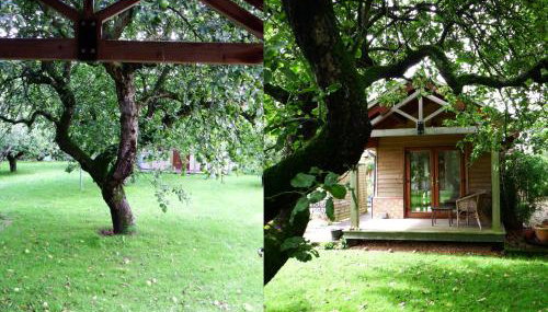 Kenilworth Garden Accomodation - Foto 5