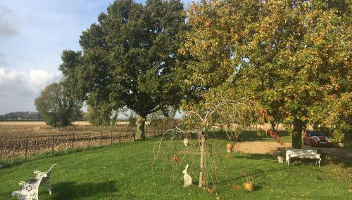 Eight ball house - Foto 5