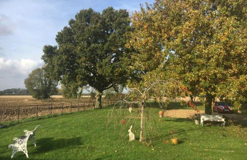 Eight ball house - Foto 5