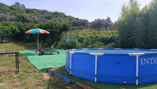 Finca del Abu - Foto 4