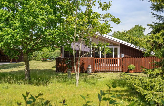 "Soraya" - 700m to the fjord - Foto 3