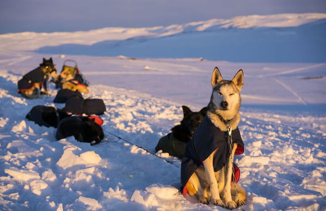 Gausta View - Photo 28