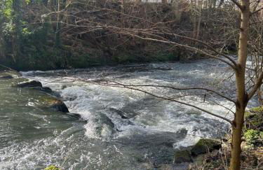 Ferienhaus im Schwarzwald - Foto 22
