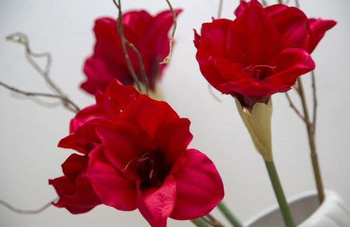 Apartment Belavista - Foto 21