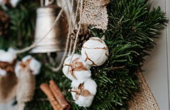 Gîtes du Bulz, en pleine forêt proche de la mer - Photo 26