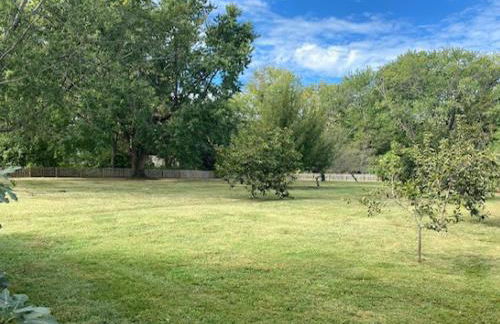 Crepe Myrtle - Foto 5