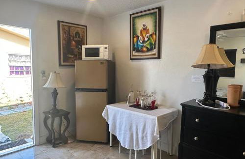 My Garden in Miami Florida - Photo 36