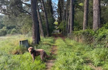 Casa Fritz - Photo 19