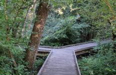 Magnifique appartement - Foto 6