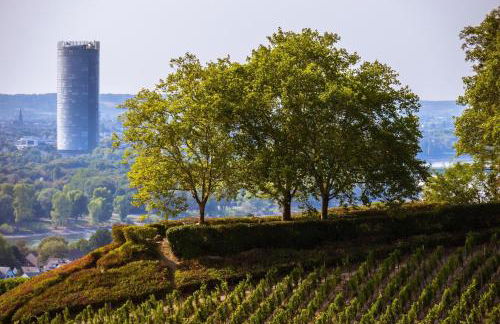 Downtown Apartments - Foto 75