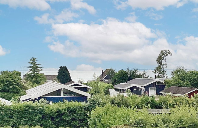 10 Person Holiday Home in Bjert - Foto 28