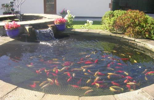 Coastal Garden Lodge - Foto 23