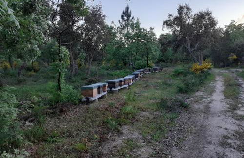 Casa da Vinha - Foto 29