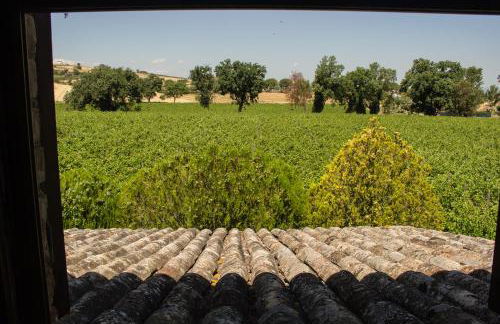 Country House Carmelita - Foto 14