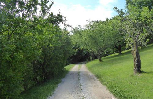 Casa Ballo delle Streghe, Garden, Montebelluna - Foto 30