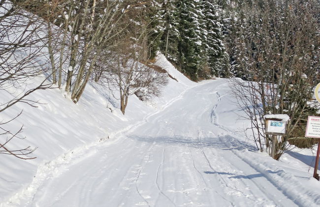 Gasthof Almluft - Foto 18