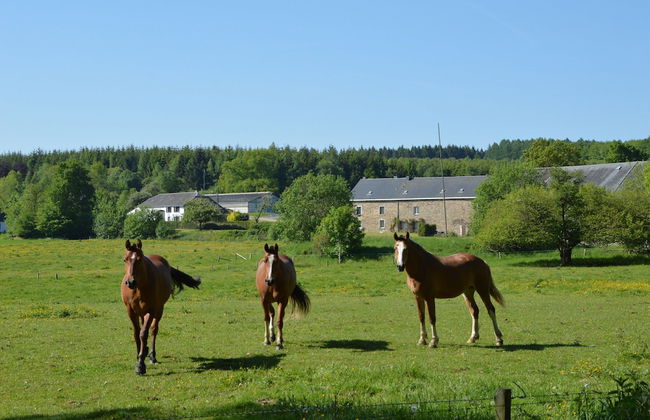 Holiday House in Horse Riding School near Stavelot & Spa Circuit - Photo 22