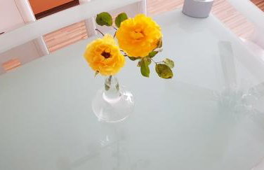 Apartment Stabel 8,1 km von Europa Park - Foto 23